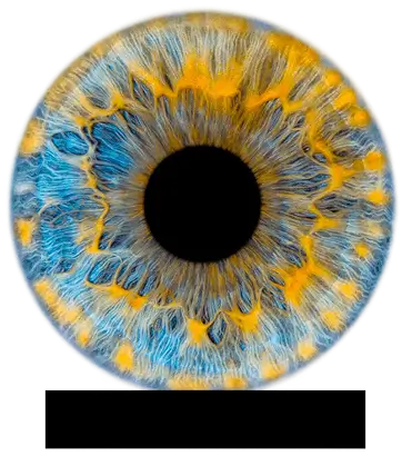 vision